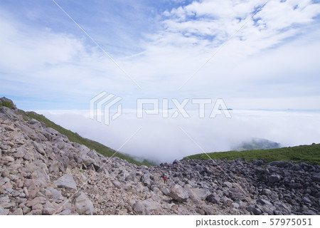 從天狗原到白馬Norikura的山間小道（白馬山脈，北長崎，長野） 57975051