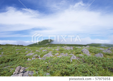 從天狗原到白馬Norikura的山間小道(白馬山脈,北長崎,長野) 從天狗原到白馬Norikura的山間小道(白馬山脈,北長崎,長野) 57975058