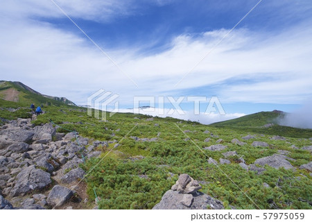 View of the mountain path from Tengubara to Hakuba Norikura (Hakuba mountain range, Kita-Azumi, Nagano) View of the mountain path from Tengubara to Hakuba Norikura (Hakuba mountain range, Kita-Azumi, Nagano) 57975059