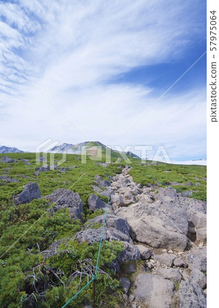 View of the mountain path from Tengubara to Hakuba Norikura (Hakuba mountain range, Kita-Azumi, Nagano) View of the mountain path from Tengubara to Hakuba Norikura (Hakuba mountain range, Kita-Azumi, Nagano) 57975064