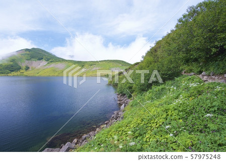 白馬大池周圍的風景（白馬山脈，長野縣北Azumi） 57975248