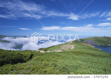 從白馬大池到Korenka山的山路（白馬山脈，長野縣北阿祖米） 57975295