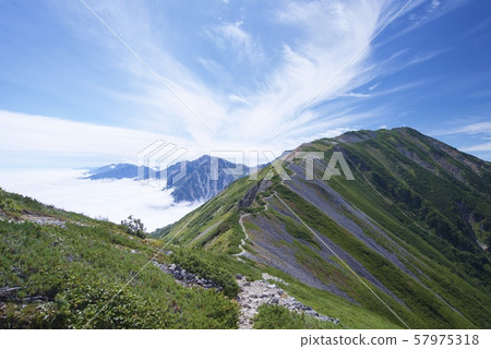 從白馬大池到Korenka山的山路（白馬山脈，長野縣北阿祖米） 57975318