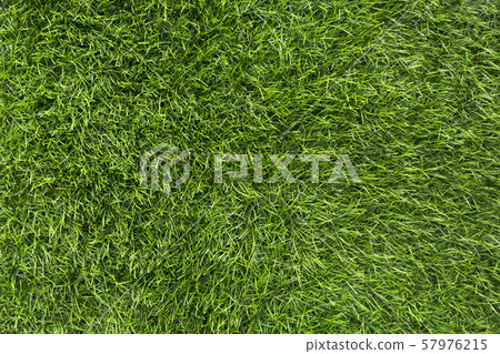 Summer green grass for picnic on open air, fresh cut lawn 57976215