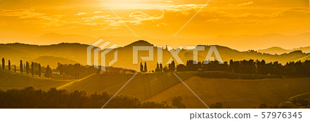 Vineyards in Austria south Styria, wine country, 57976345