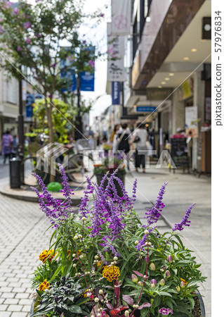 [Motomachi Street] 57976834