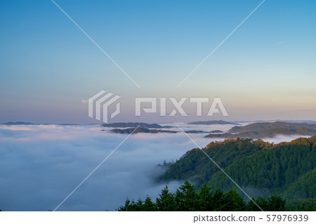 Binchu Matsuyama Castle and Unkai Binchu Matsuyama Castle and Unkai 57976939