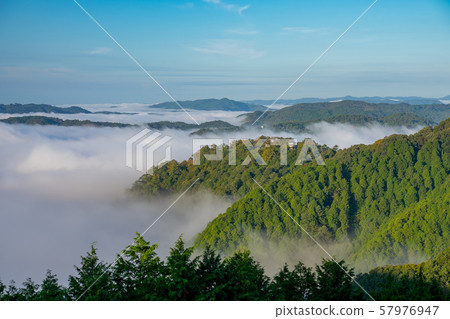 Binchu Matsuyama Castle and Unkai Binchu Matsuyama Castle and Unkai 57976947