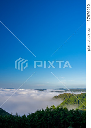 Binchu Matsuyama Castle and Unkai 57976950