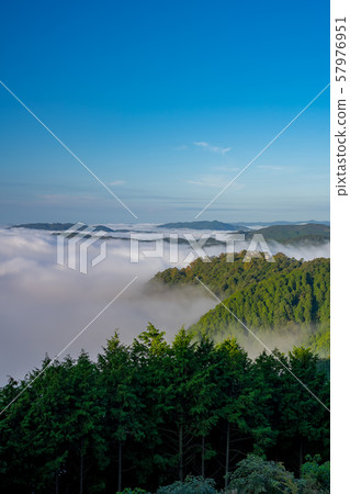 Binchu Matsuyama Castle and Unkai Binchu Matsuyama Castle and Unkai 57976951