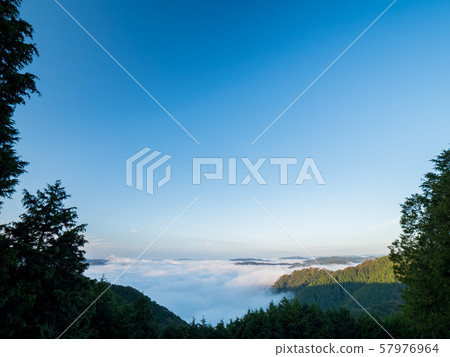 Binchu Matsuyama Castle and Unkai Binchu Matsuyama Castle and Unkai 57976964