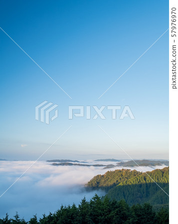 Binchu Matsuyama Castle and Unkai Binchu Matsuyama Castle and Unkai 57976970