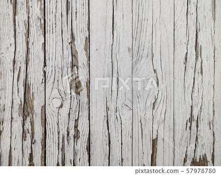 Background white old wooden hedge. Peeling paint. Background white old wooden hedge. Peeling paint. 57978780