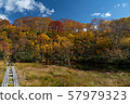 Aomori Hakkoda Autumn Leaves and Walking Course 57979323