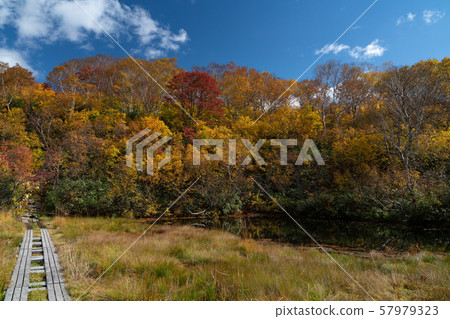 Aomori Hakkoda Autumn Leaves and Walking Course Aomori Hakkoda Autumn Leaves and Walking Course 57979323