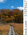 Aomori Hakkoda Autumn Leaves and Walking Course 57979327