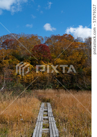 Aomori Hakkoda Autumn Leaves and Walking Course Aomori Hakkoda Autumn Leaves and Walking Course 57979327