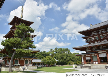 [Nara Prefecture] Yakushi-ji / Shirakaba Ai 57979396
