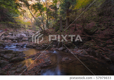 紅眼前進瀑布 紅眼前進瀑布 57979833