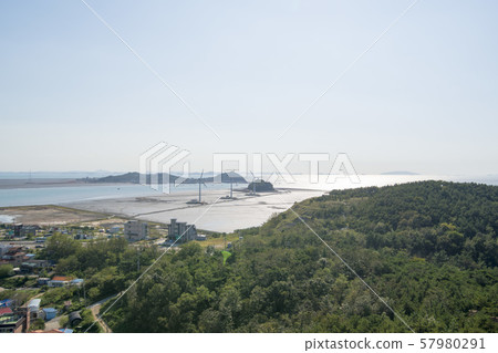 Tandong Port, Ansan City, Gyeonggi-do 57980291