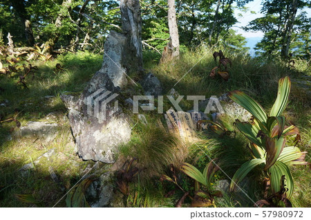 【紀伊山脈的世界遺產聖地和參拜路線】奈良縣吉野郡天川村46靡靡之大峰奧熊堂 【紀伊山脈的世界遺產聖地和參拜路線】奈良縣吉野郡天川村46靡靡之大峰奧熊堂 57980972