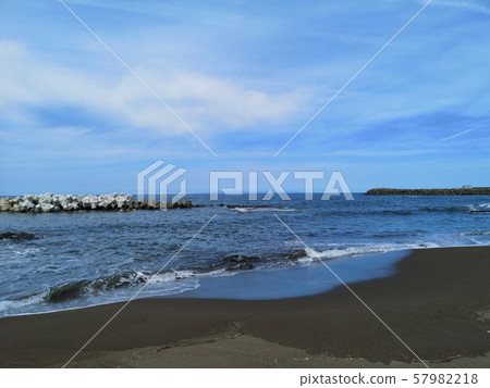 Whale waveside beach 57982218