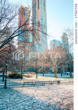 Beautiful Central Park in New York City 57982508