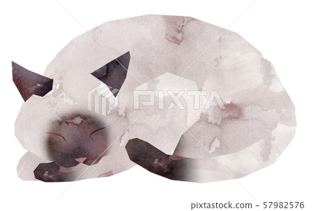 Siamese cat 57982576