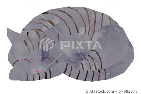 Sabatra / sleep 57982578