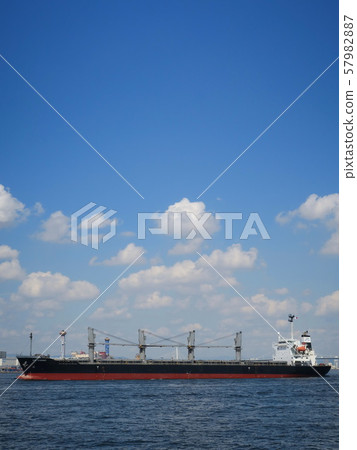 Osaka Port and Yumeshima Container Terminal viewed from Seaside Cosmo (Cosmo Square Seaside Green Area) 57982887