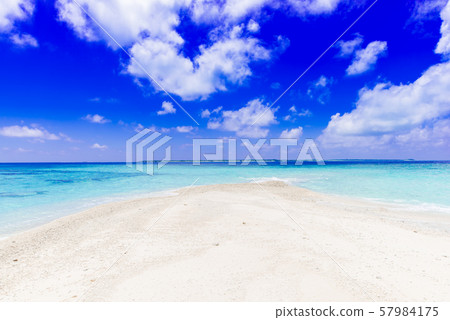 巴拉斯島 57984175