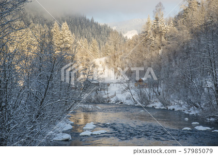 Snow covered trees near blue river 57985079