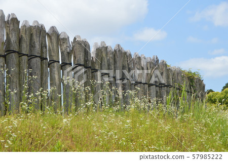 Yoshinogari遺址的柵欄(吉野裡歷史公園/佐賀郡神崎郡吉野里鎮) Yoshinogari遺址的柵欄(吉野裡歷史公園/佐賀郡神崎郡吉野里鎮) 57985222