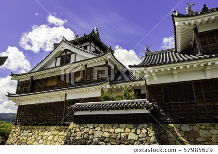 福知山城（京都府福知山市） 57985629