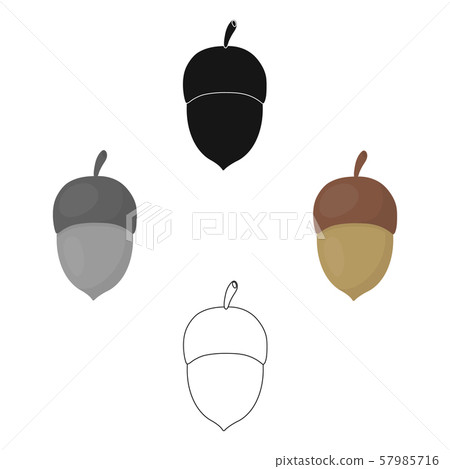 Acorn vector icon in cartoon,black style for web 57985716