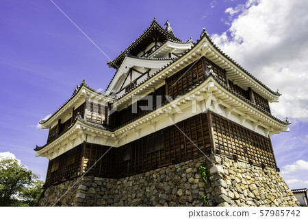 Fukuchiyama Castle (Fukuchiyama City, Kyoto Prefecture) 57985742