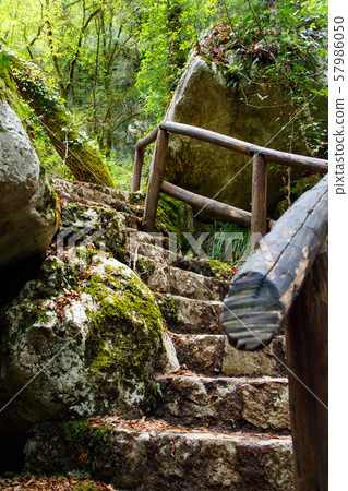 Stone stairs in the natural reserve of Morigerati 57986050