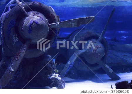 Sunken plane under water in Antalya aquarium of Turkey 57986098