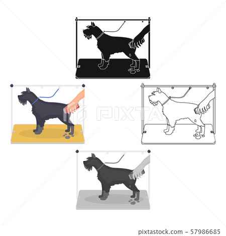 Haircut dogs in a stylish salon. Pet,dog care single icon in cartoon,black style vector symbol stock 57986685