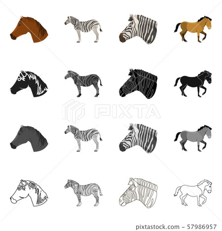 Vector design of trot and running logo. Set of trot and clipart vector icon for stock. Vector design of trot and running logo. Set of trot and clipart vector icon for stock. 57986957