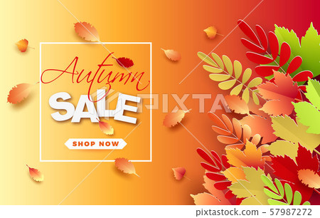 Banner for sale of autumn with colorful seasonal fall leaves for promotion of discounts. The autumn sale. Vector illustration. 57987272
