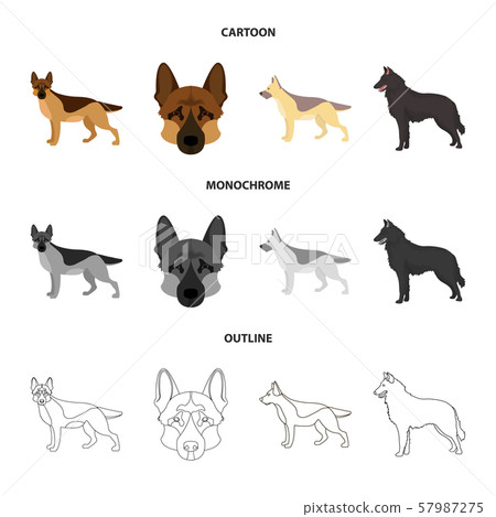 Vector design of sheepdog and sheltie icon. Collection of sheepdog and shepherd vector icon for 57987275