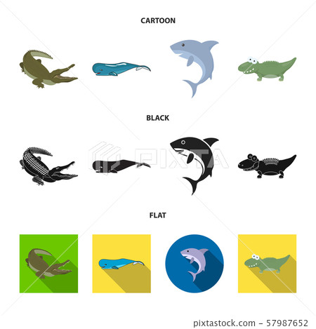 Vector illustration of sea and ocean sign. Set of sea and reptiles vector icon for stock. 57987652