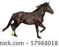 beautiful horse, Ukrainian riding horse, horse carved on a white 57988018