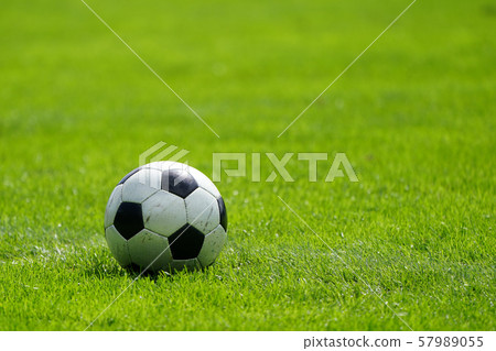soccer ball    57989055