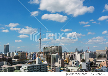 天空樹的看法 57989232