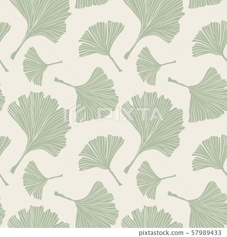 Ginkgo Biloba Plant, Line art Pale Sage Colored... - Stock Illustration  [57989433] - PIXTA