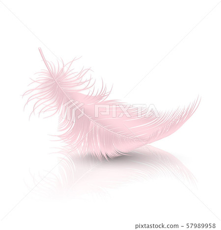 Vector 3d Realistic Falling Pink Flamingo Fluffy Twirled Feather with Reflection Closeup Isolated on 57989958