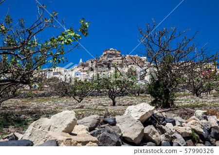 Vineyard next to the Arrow sign of the walking path number 12 to Akrotiri village in Santorini 57990326
