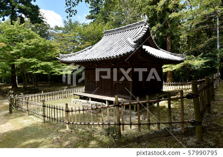 Shogoji Yomikoji Kanbudo 57990795